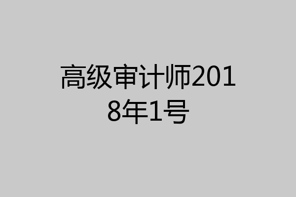 高级审计师2018年1号