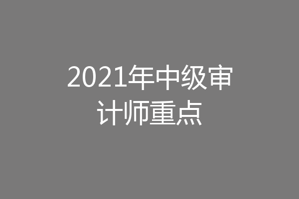 2021年中级审计师重点