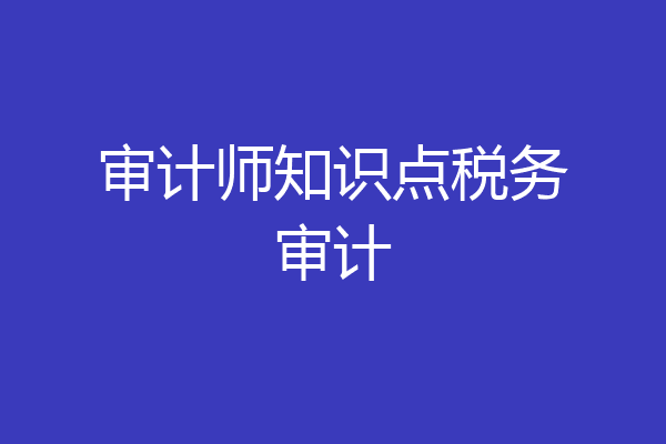 审计师知识点税务审计