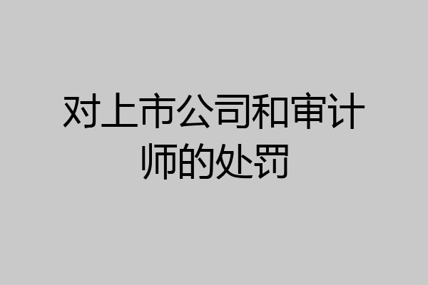 对上市公司和审计师的处罚