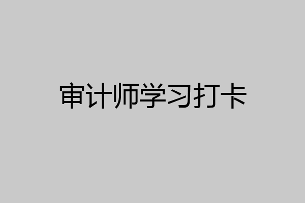审计师学习打卡