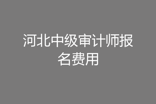 河北中级审计师报名费用