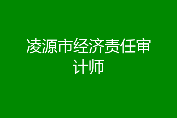 凌源市经济责任审计师