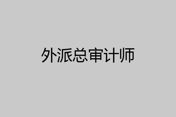 外派总审计师