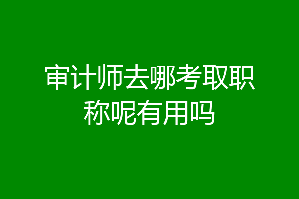 审计师去哪考取职称呢有用吗
