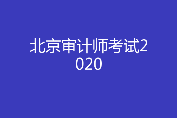 北京审计师考试2020