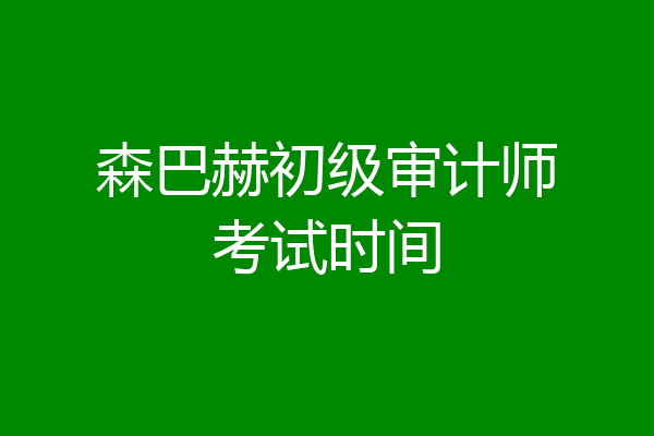 森巴赫初级审计师考试时间