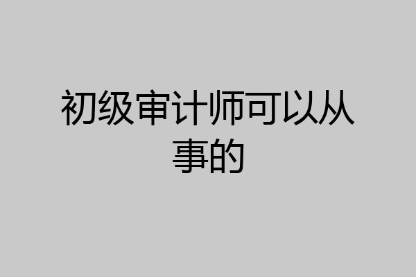 初级审计师可以从事的