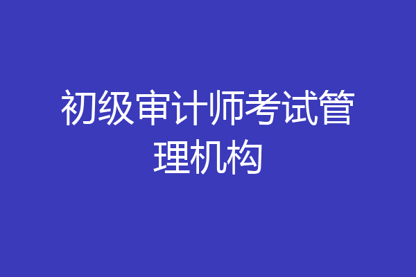 初级审计师考试管理机构