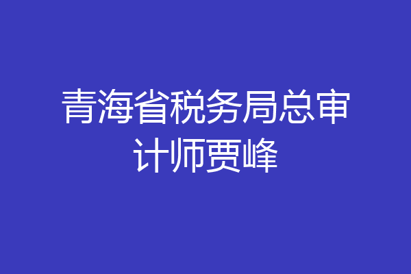 青海省税务局总审计师贾峰