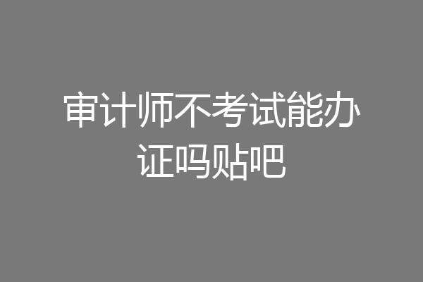 审计师不考试能办证吗贴吧
