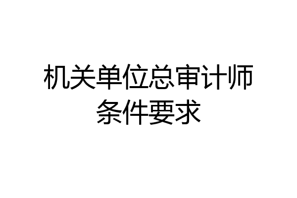 机关单位总审计师条件要求