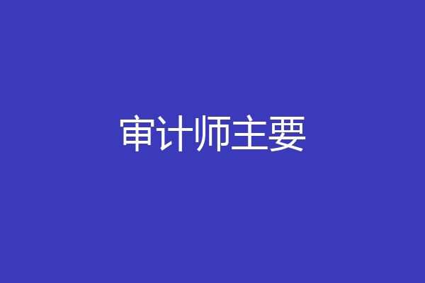 审计师主要