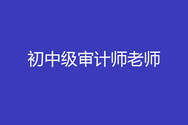 初中级审计师老师