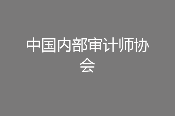 中国内部审计师协会