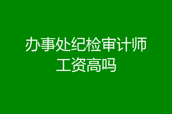 办事处纪检审计师工资高吗