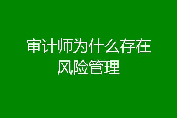 审计师为什么存在风险管理