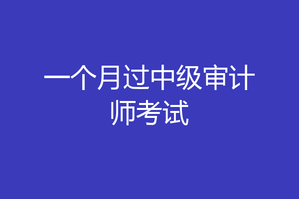 一个月过中级审计师考试