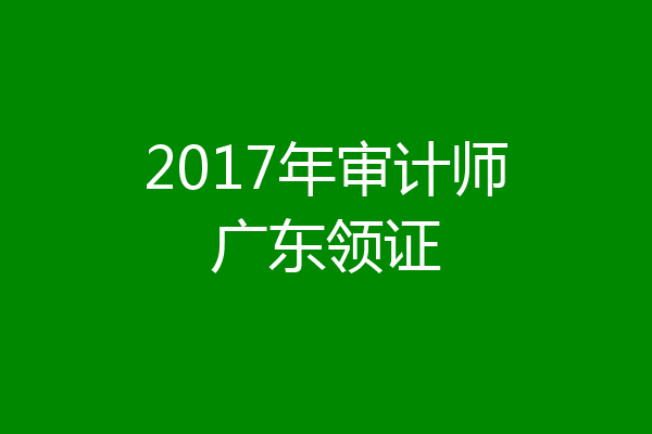 2017年审计师广东领证
