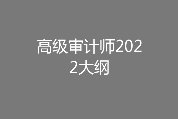 高级审计师2022大纲