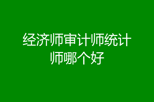 经济师审计师统计师哪个好
