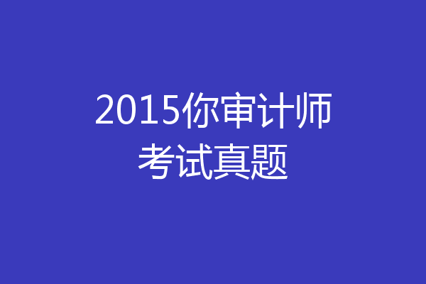 2015你审计师考试真题