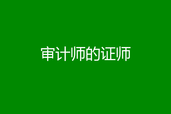 审计师的证师