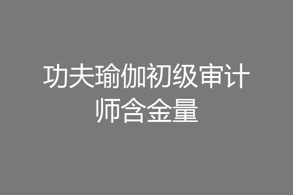 功夫瑜伽初级审计师含金量