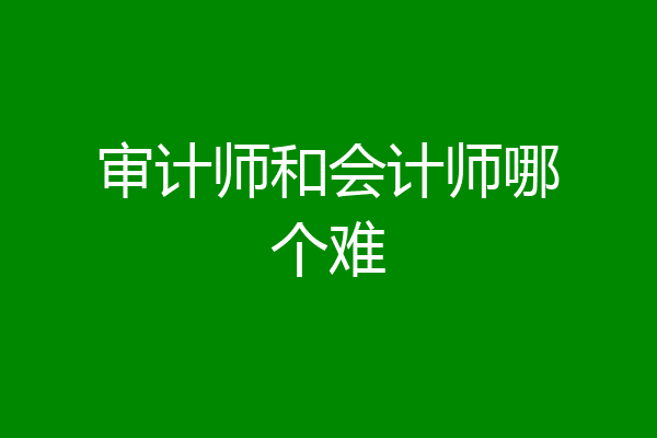 审计师和会计师哪个难