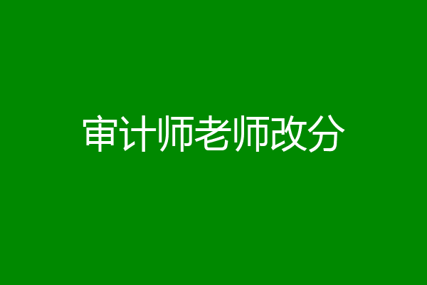 审计师老师改分