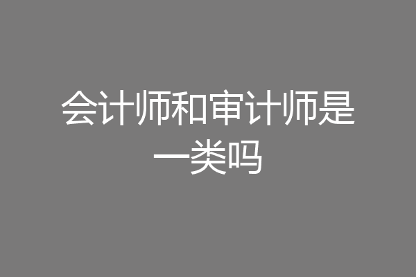 会计师和审计师是一类吗