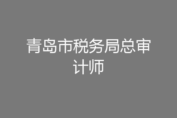 青岛市税务局总审计师