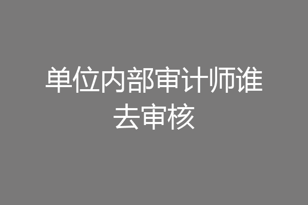单位内部审计师谁去审核