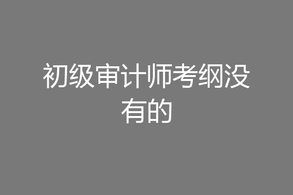初级审计师考纲没有的