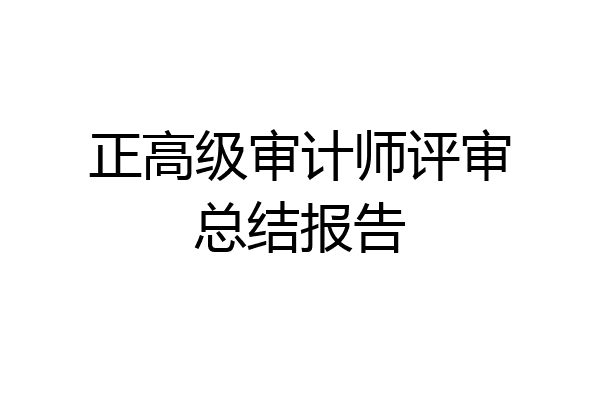 正高级审计师评审总结报告