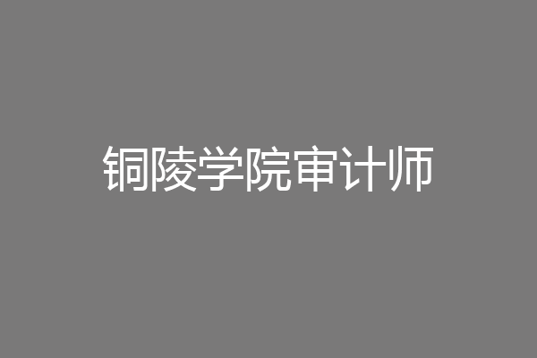 铜陵学院审计师