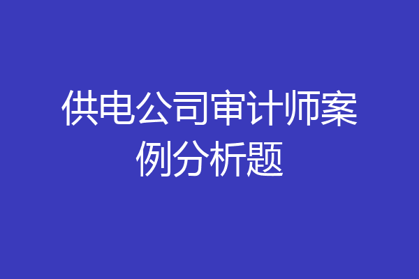 供电公司审计师案例分析题