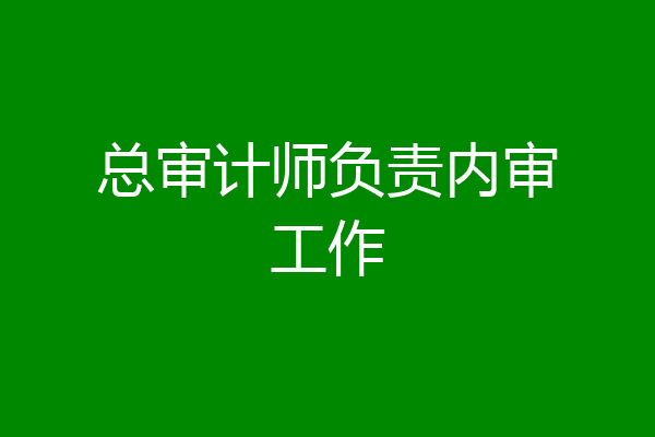 总审计师负责内审工作