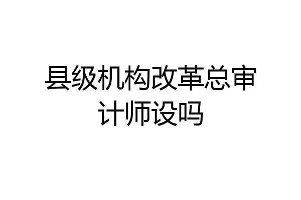 县级机构改革总审计师设吗