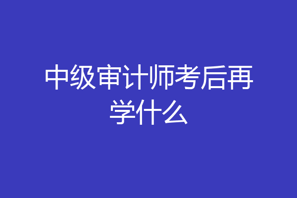 中级审计师考后再学什么