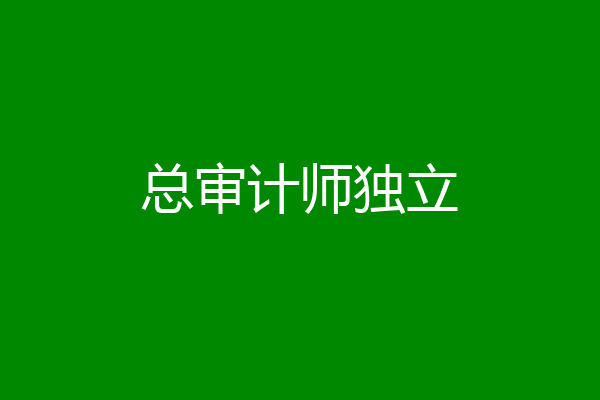 总审计师独立
