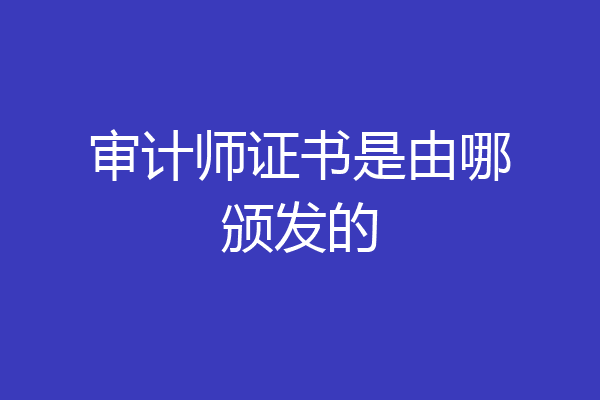 审计师证书是由哪颁发的