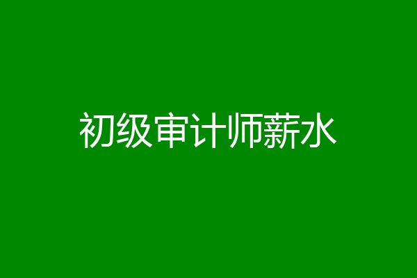 初级审计师薪水