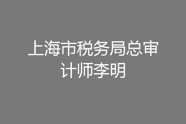 上海市税务局总审计师李明