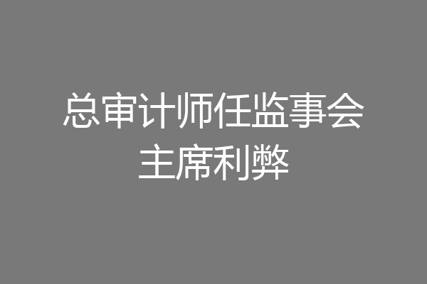 总审计师任监事会主席利弊