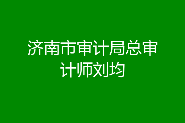 济南市审计局总审计师刘均