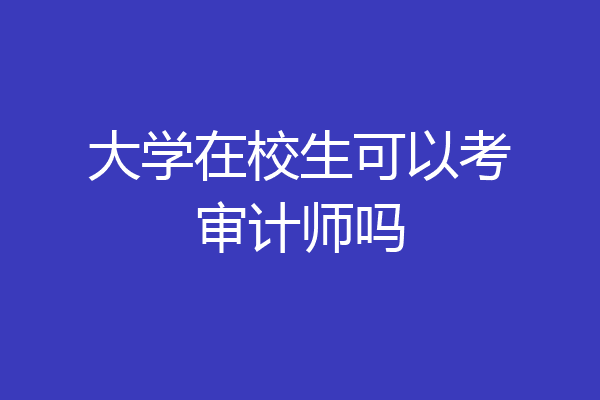 大学在校生可以考审计师吗
