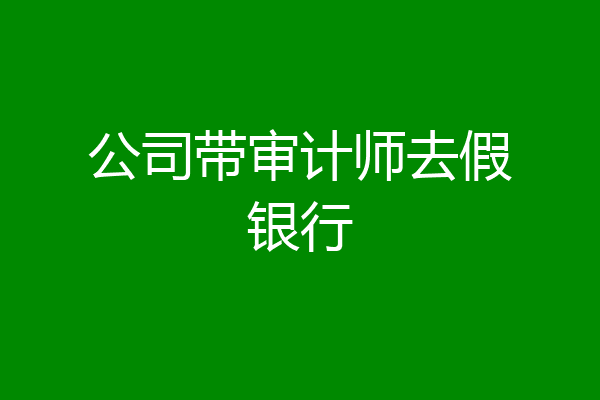 公司带审计师去假银行