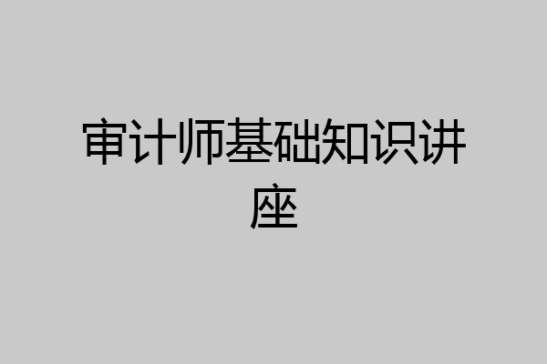 审计师基础知识讲座