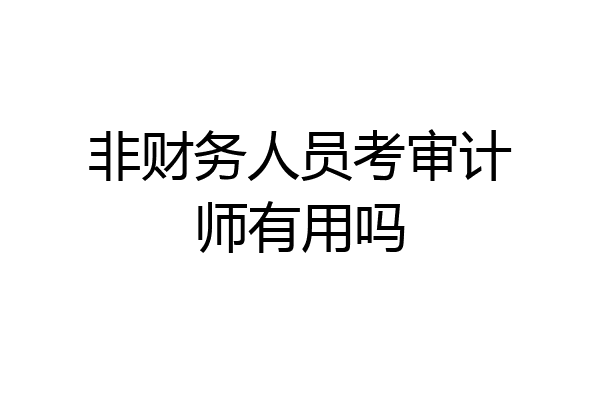 非财务人员考审计师有用吗